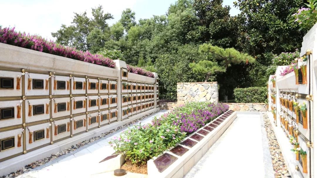 在合肥大蜀山文化陵园，与生命温柔对话